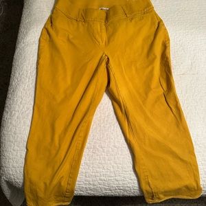 Lane Bryant Curvy Allie dark yellow capri pants